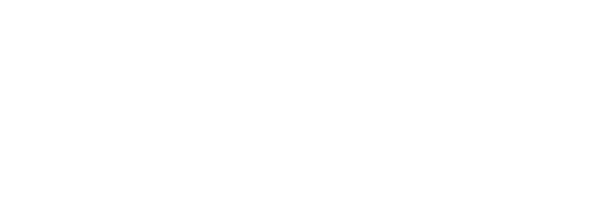 P-Series Quantum X Logo